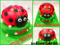 LADYBUG-FOR-LYDIA