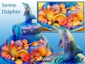 SERINE DOLPHIN