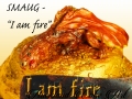 SMAUG I AM FIRE