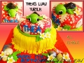 THEAS LUAU TURTLE