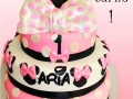 ARIA