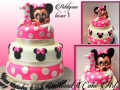 ADDYSON TURNS 1
