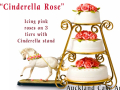 CINDERELLA WEDDING