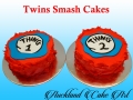 TWINS SMASH CAKES