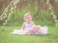 SMASH CAKE